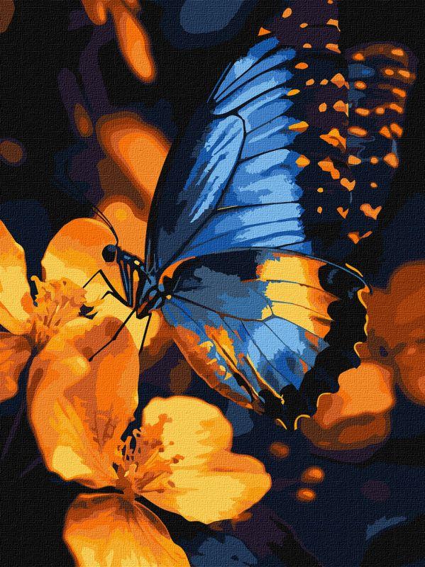 Картина по номерам Ideyka Мерцание крыльев 30х40 см (2824290090)