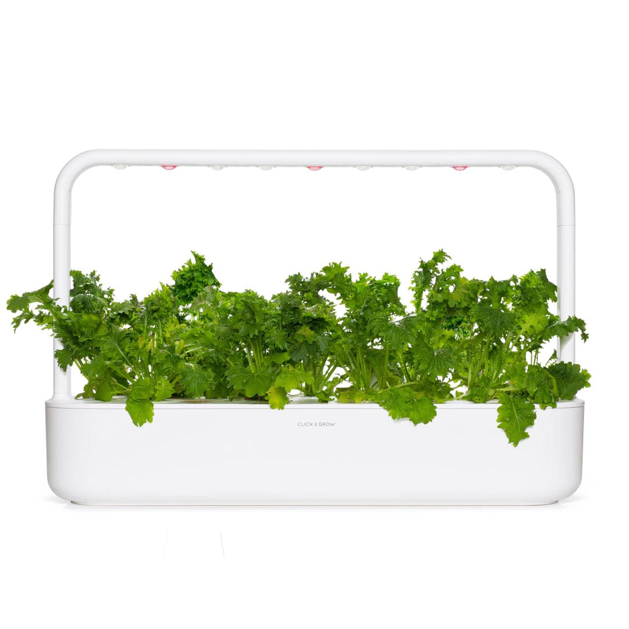 Картридж сменный Click & Grow Горчица васаби 3 капсулы (A-014377) - фото 3 Картридж сменный Click & Grow Горчица васаби 3 капсулы (A-014377) - фото 3