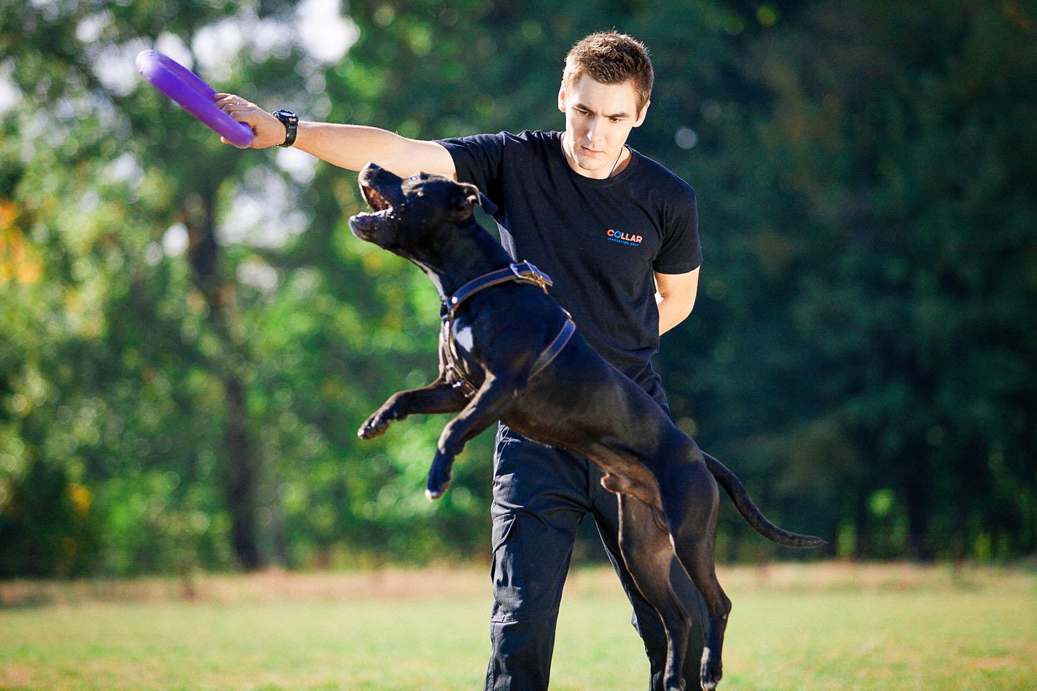 Тренувальний снаряд для собак Puller Standard 28 см (6490) - фото 16