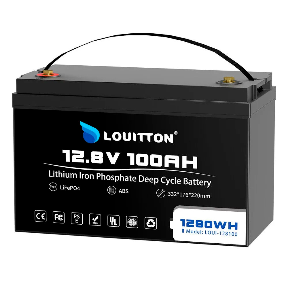 Аккумулятор Louitton LiFePO4 12V 100 Ач с зарядным устройством - фото 3