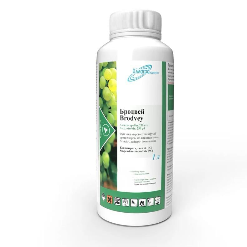 Фунгіцид ХімАгроМаркетинг Бродвей 1 л