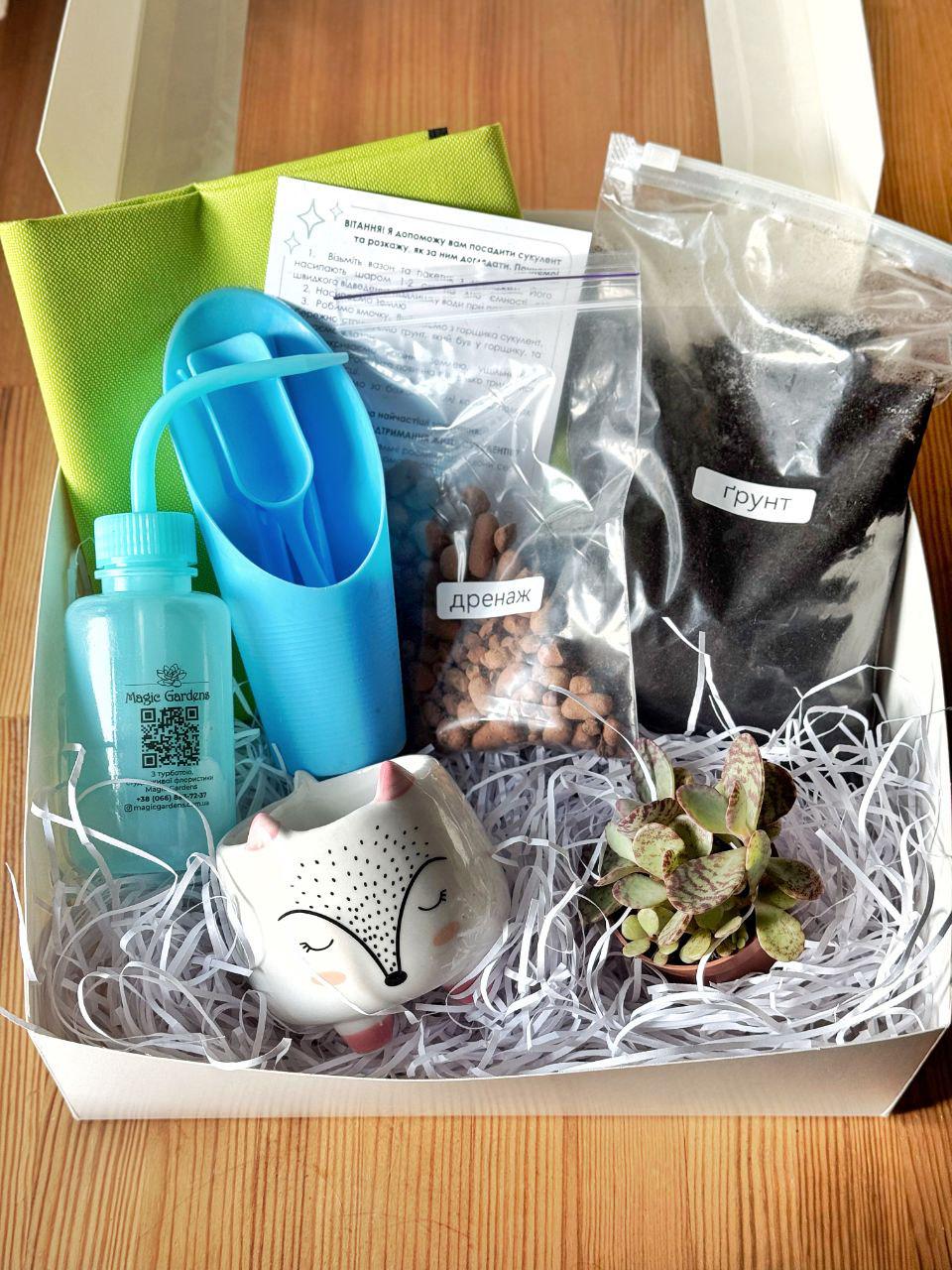 Набір Посади сам Лисичка