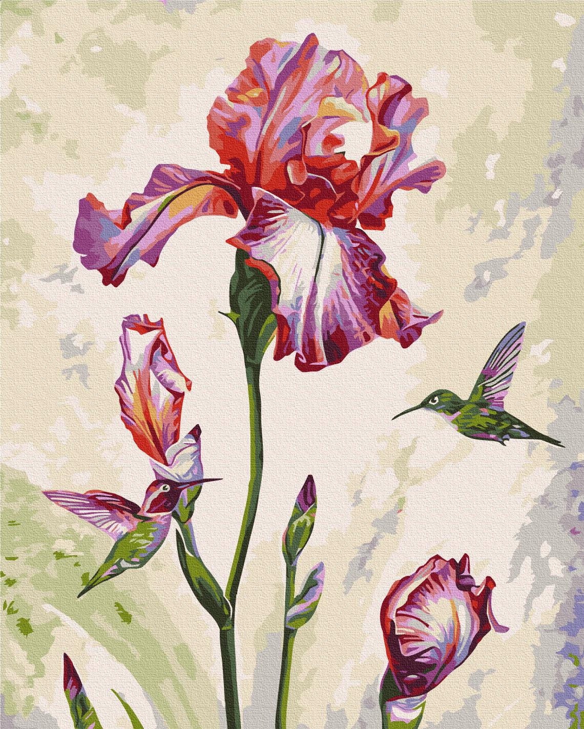 Картина за номерами Brushme Ранкове побачення 50x60 см (BS53924L)