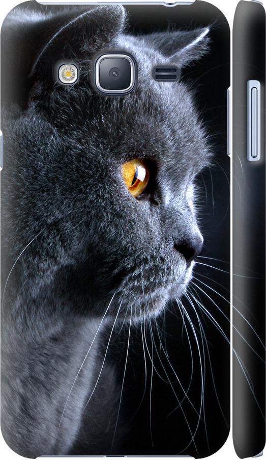 Чехол на Samsung Galaxy J3 Duos (2016) J320H Красивый кот (3038c-265-42517)
