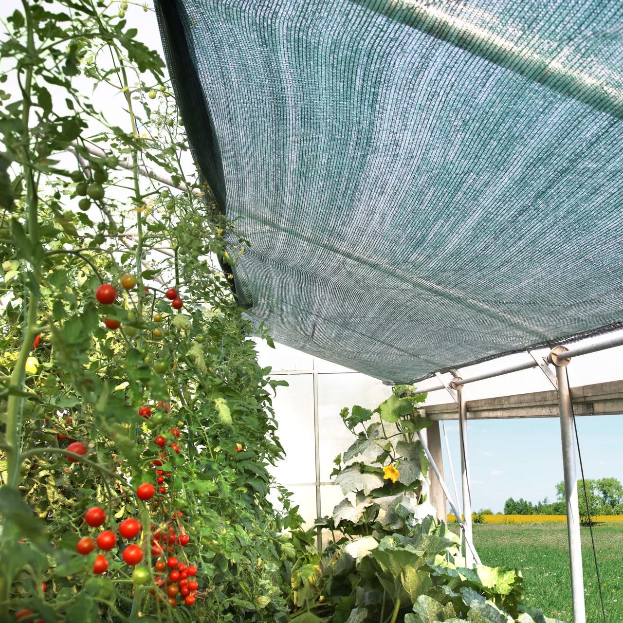 Сетка защитная затеняющая Клевер 60% 2x50 м - фото 9