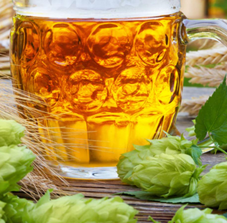 Набор бокалов для пива Stölzle Lausitz Tübinger 500 мл 6 шт. (5200252-1) - фото 4 Набор бокалов для пива Stölzle Lausitz Tübinger 500 мл 6 шт. (5200252-1) - фото 4