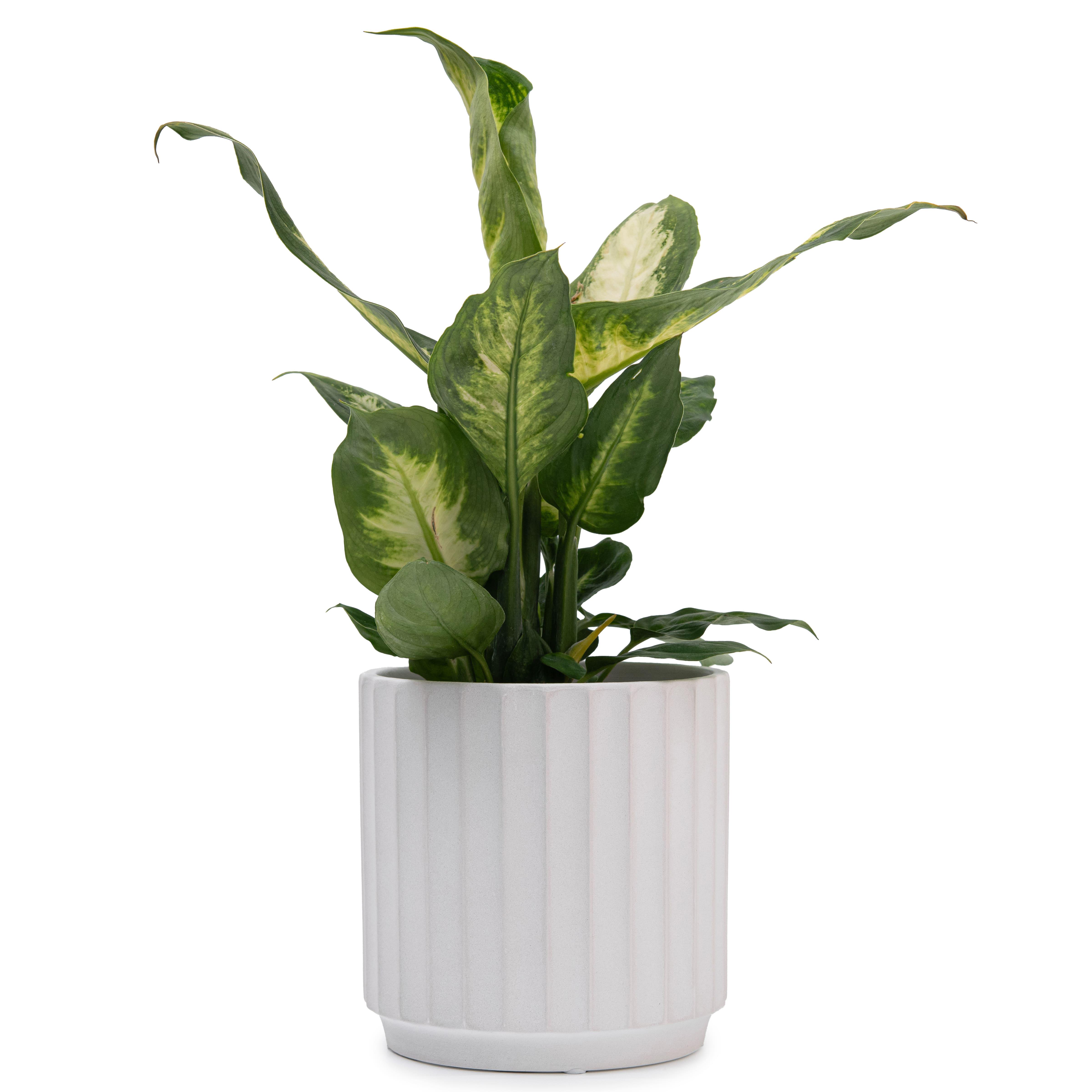 Кашпо для цветов керамическое elemi Грань круглый 1,4 л Белый (УТ-00094969) - фото 5