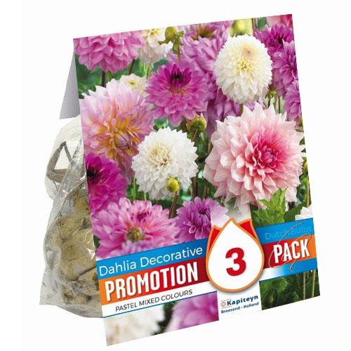 Георгина Florium Decorative Pastel Mix промо-пак (13968)