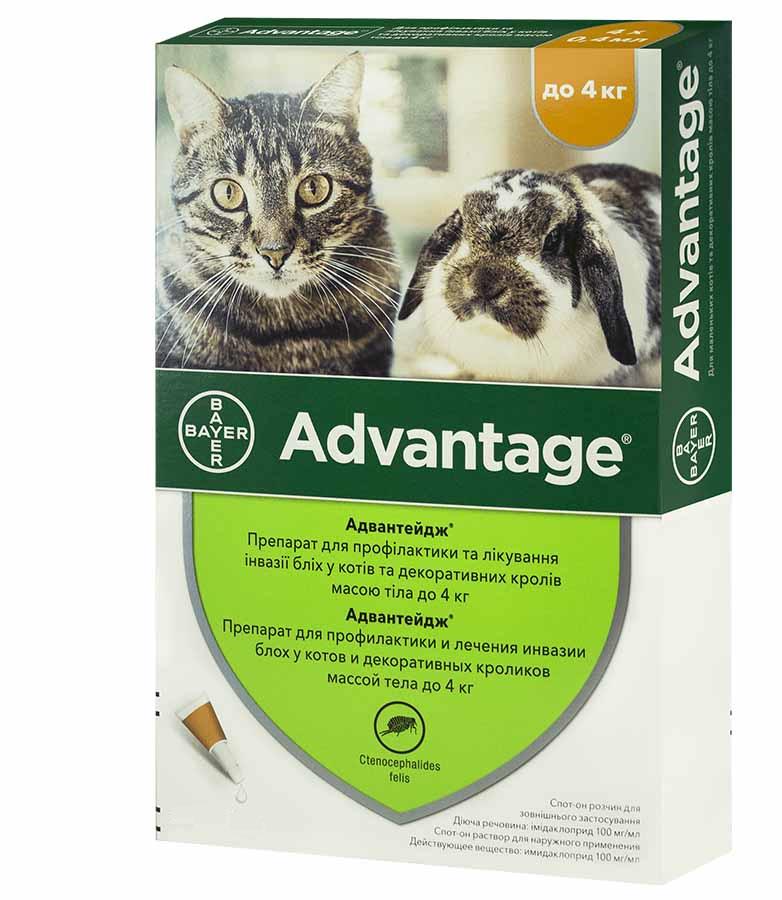 Краплі Bayer Advantage 40 від бліх для котів та кошенят до 4 кг 0,4 мл 1 піпетка