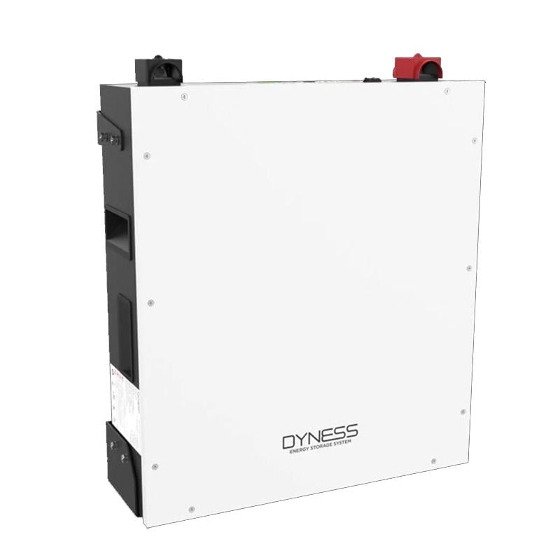 Аккумуляторная батарея Dyness A48100 (0025)