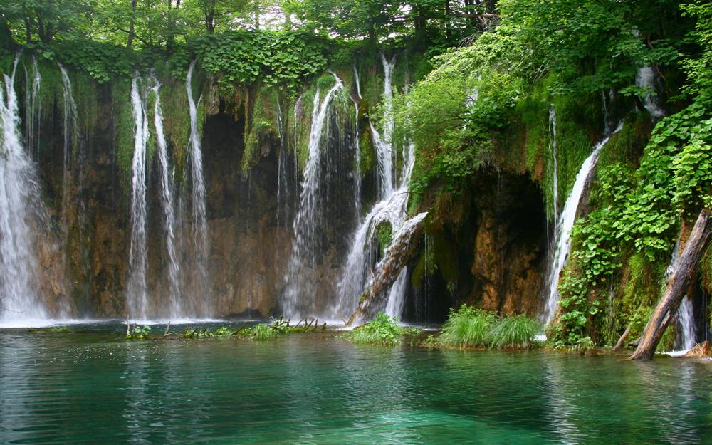 Картина Природа PR108 35х55 см