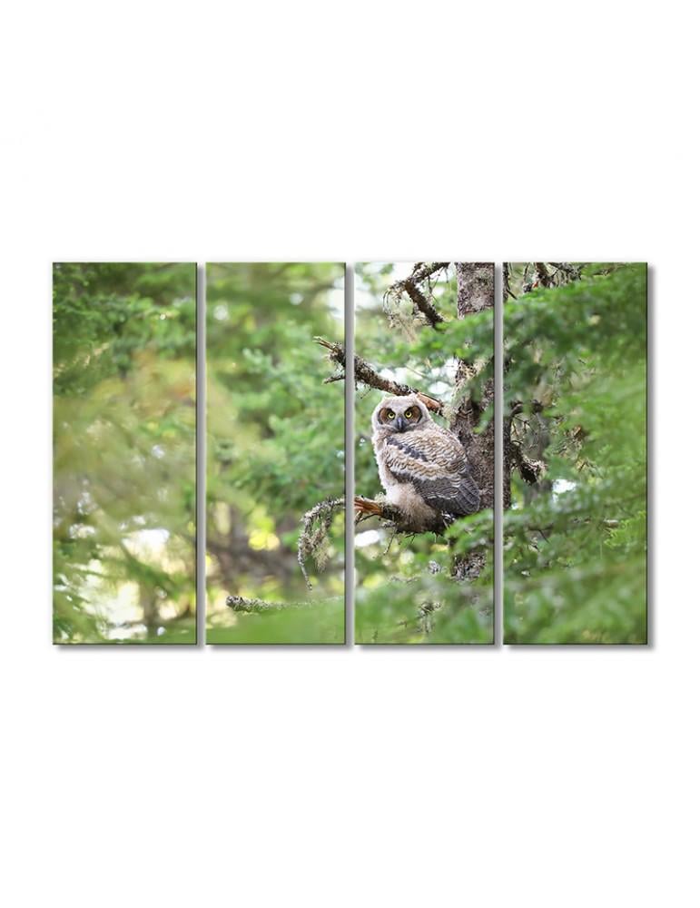 Картина модульная Северо-американская сова 4 модуля 120x180 см