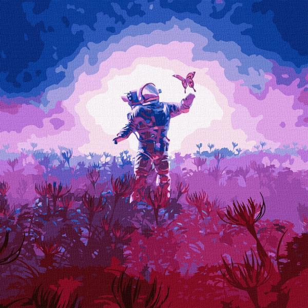 Картина по номерам Идейка Космос Познавая мир 50х50 см в термопакете (КНО5030-mt)