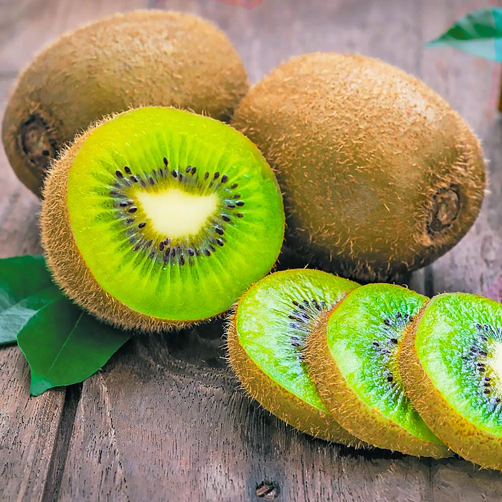 Саженец киви Хейворд самоплодный морозостойкий (610715022)