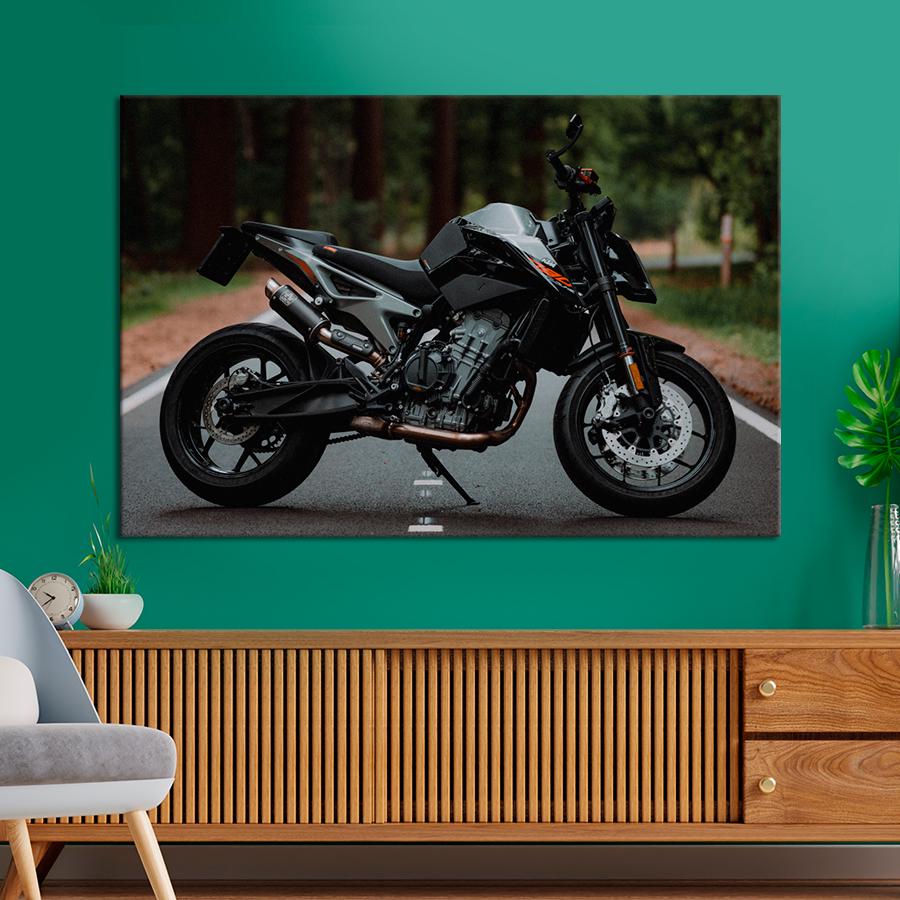 Картина Автомобиль Мотоцикл KTM 790 Duke 80x54 см (A1184-1)