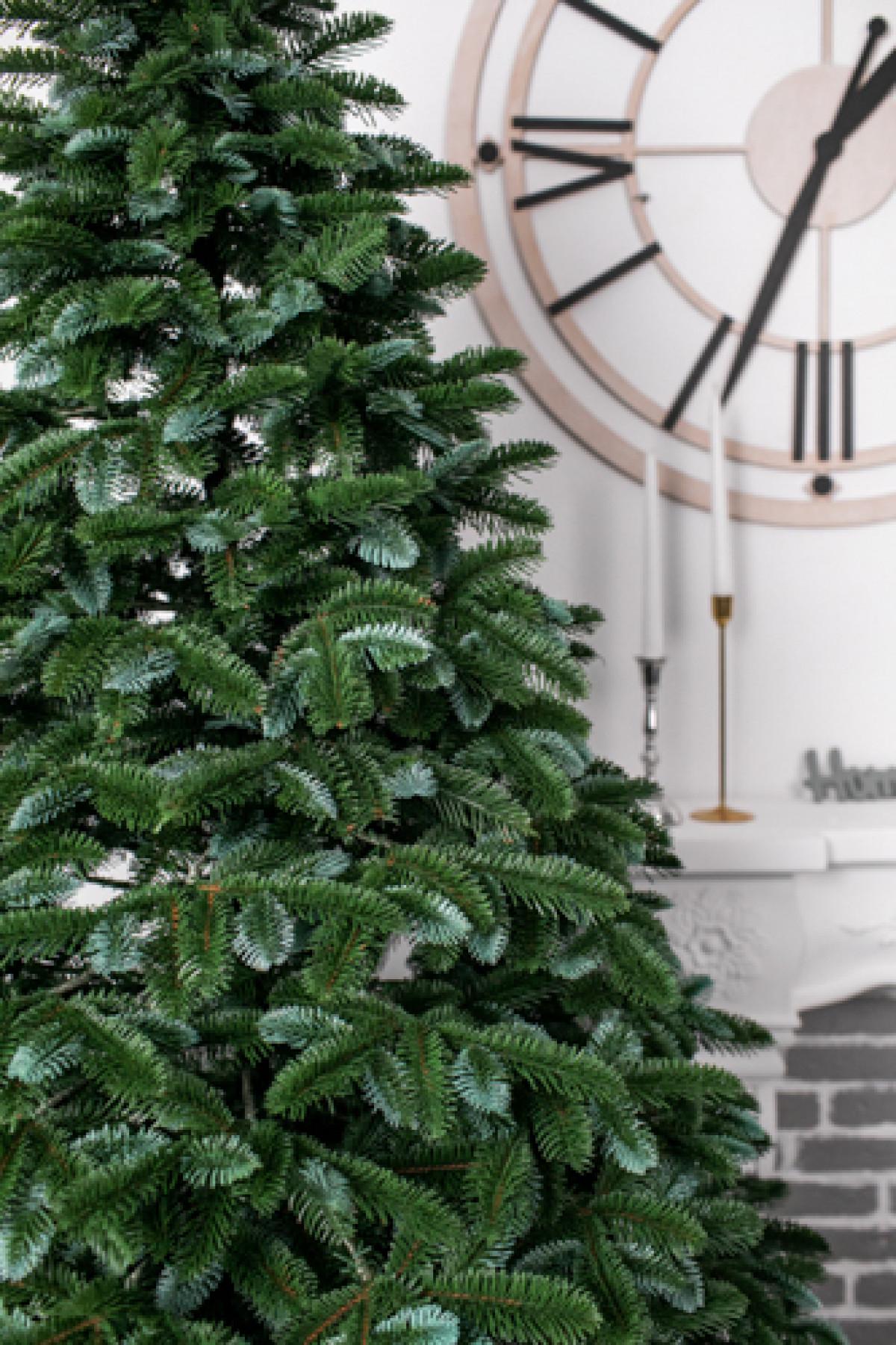 Елка литая Канадская 2,5 м Зеленый с голубыми кончиками - фото 4 Елка литая Канадская 2,5 м Зеленый с голубыми кончиками - фото 4