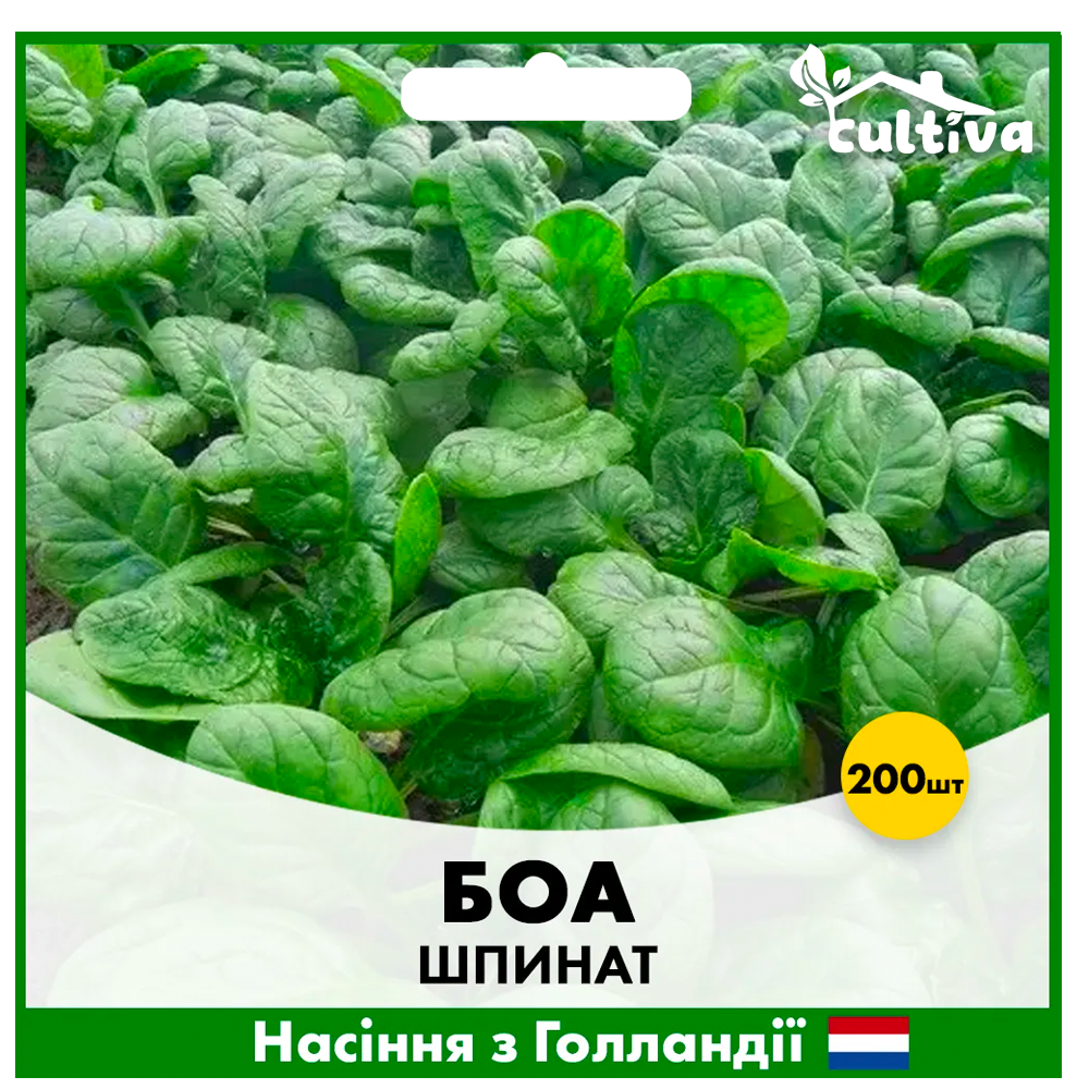 Насіння шпинату Rijk Zwaan Боа 200 шт. (00138)