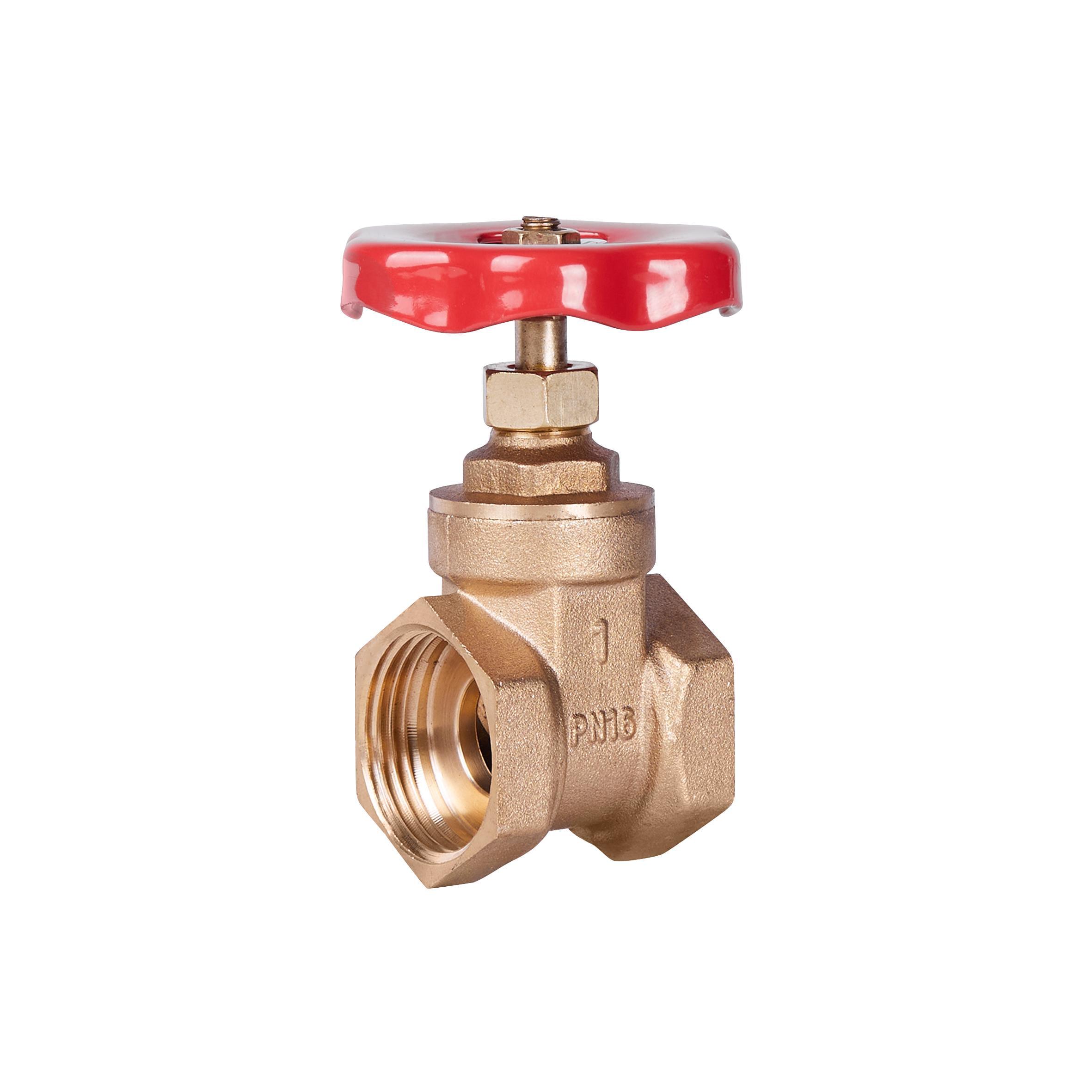 Задвижка SD Plus 1" ВР SD25025 Задвижка SD Plus 1" ВР SD25025