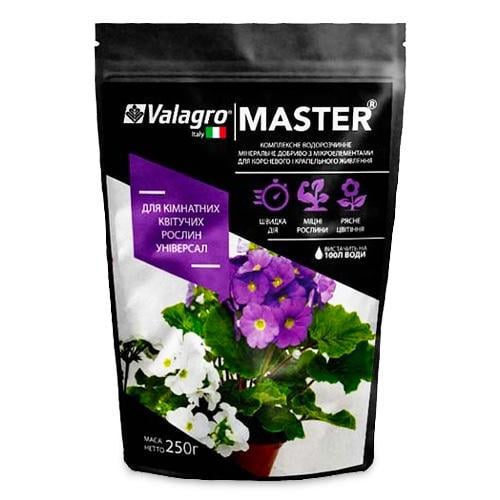 Добриво мінеральне Florium Master комплексне для кімнатних квітучих рослин 250 г (NPK 13.40.13)