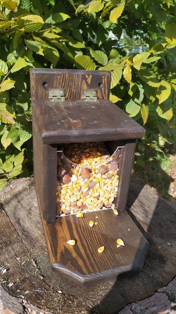 Кормушка для белок Сюрприз из древесины Эбеновое дерево 27х25х16 см - фото 3 Кормушка для белок Сюрприз из древесины Эбеновое дерево 27х25х16 см - фото 3