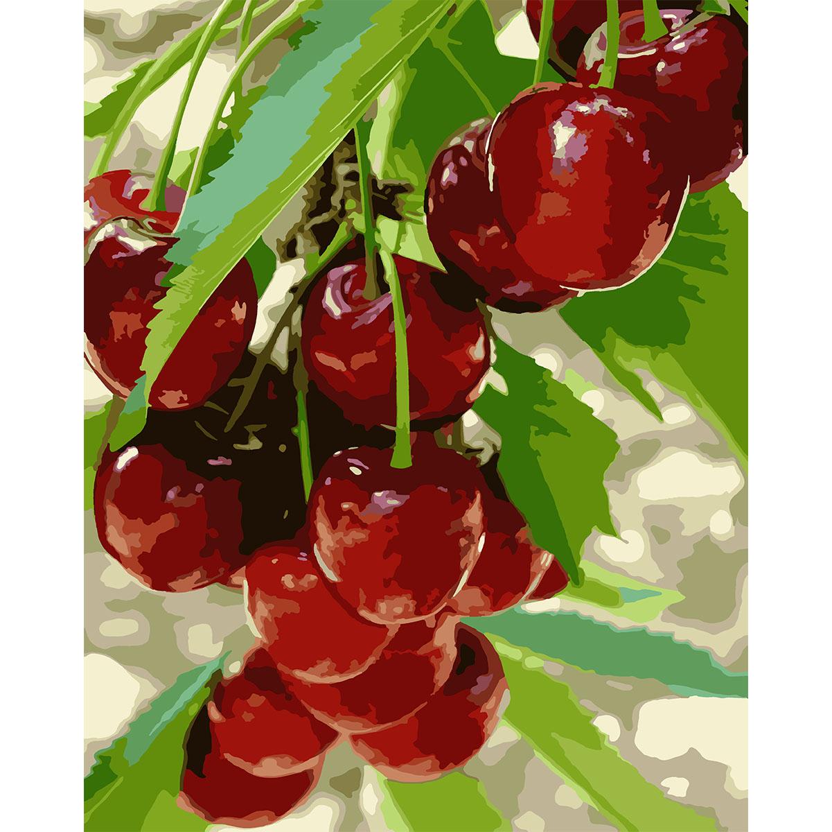 Картина по номерам Santi Сладкая черешня 40x50 см (Top-954800)