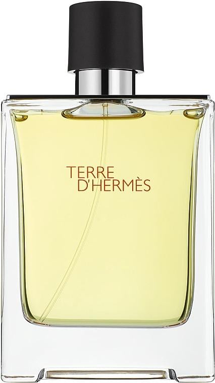 Туалетна вода Hermes Terre D'Hermes 100 мл
