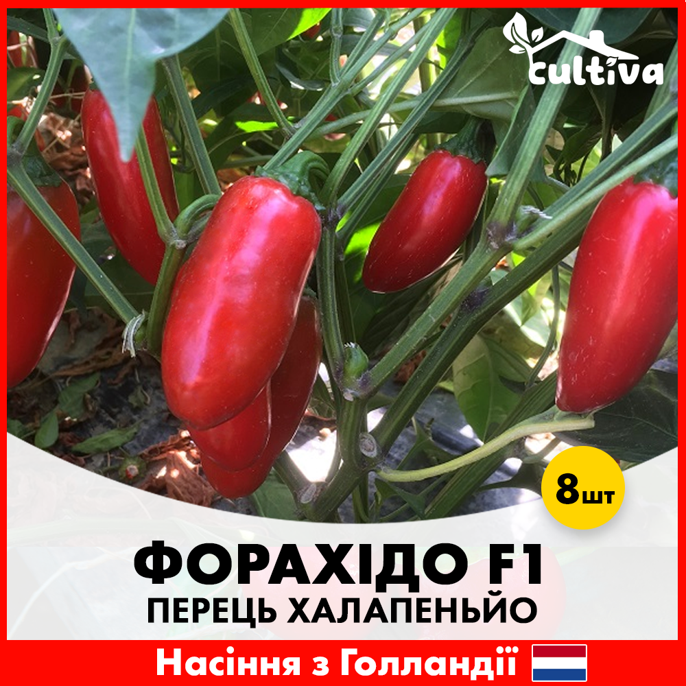 Семена перца халапеньо Enza Zaden Форахидо F1 8 шт. (425)