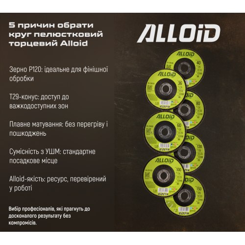 Круг лепестковый торцевой Alloid 125 мм P120 T29 (00000061427) - фото 4
