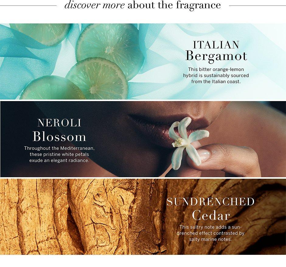 Спрей парфюмированный мини Victoria's Secret Very Sexy Sea Travel Fragrance Mist 75 мл (26554696) - фото 2 Спрей парфюмированный мини Victoria's Secret Very Sexy Sea Travel Fragrance Mist 75 мл (26554696) - фото 2