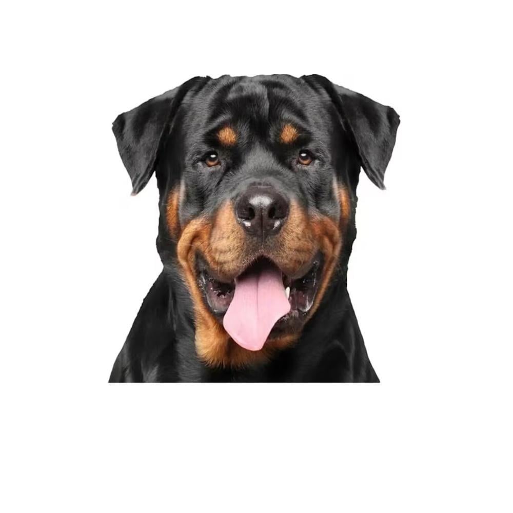 Декоративная наклейка Ротвейлер с высунутым языком на авто/мото 15х15 см Черный/Коричневый (3000004011)