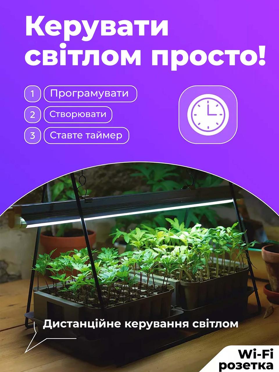 Комплект розумних Wi-Fi розеток Tuya 3 шт. c таймером і ДУ 20А 4400 Вт White - фото 10 Комплект розумних Wi-Fi розеток Tuya 3 шт. c таймером і ДУ 20А 4400 Вт White - фото 10