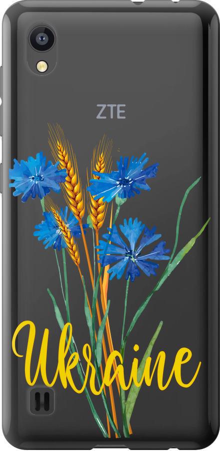 Чохол на ZTE Blade A5 2019 Ukraine v2 (5445u-2109-42517)