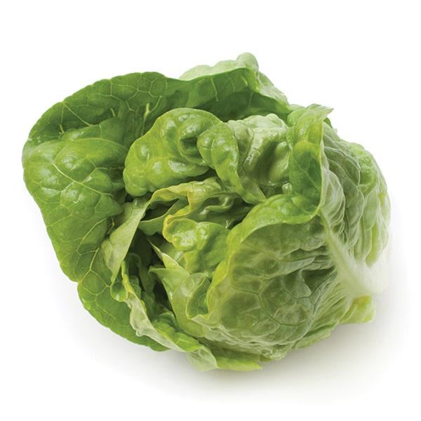 Насіння Салат Ферлі ТД Гекса-Україна 01-26-140 5000 шт. (IR02081)