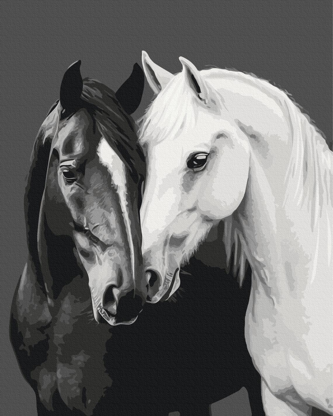 Картина по номерам Brushme Черное и белое сердце 48x60 см (BS54418L) Картина по номерам Brushme Черное и белое сердце 48x60 см (BS54418L)