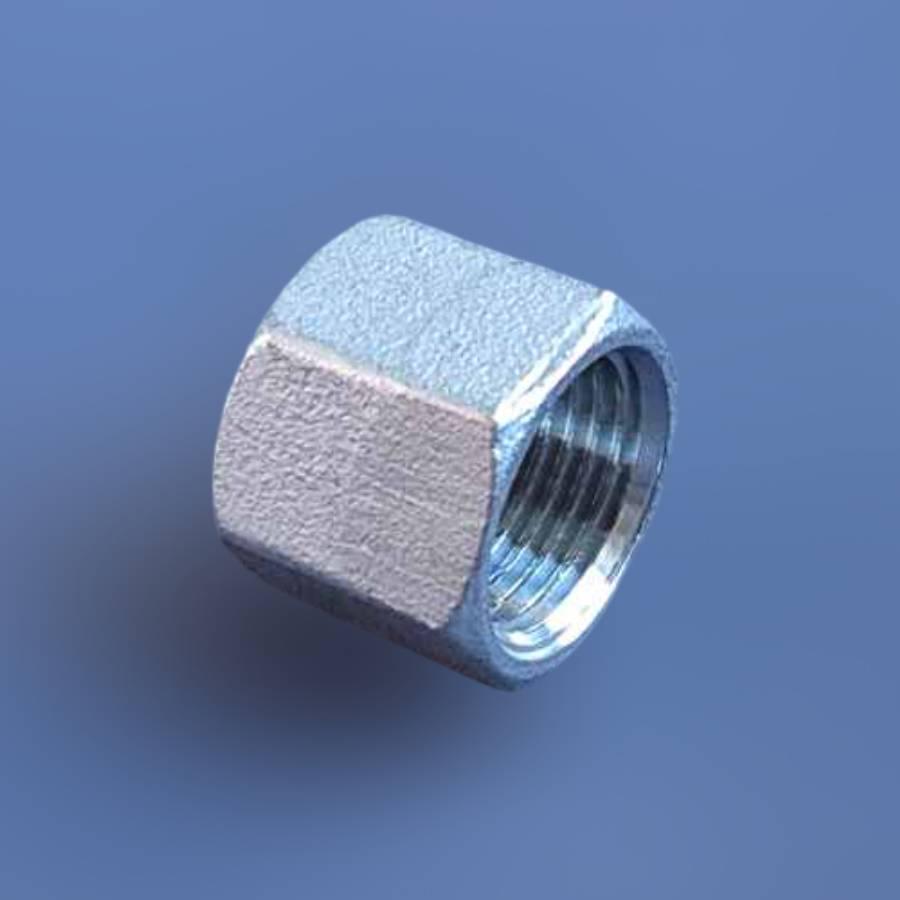 Заглушка муфтова шестигранна DN15 BSPP н/ж сталь AISI304 Class-150 внутрішня різьба 1/2" (29203160) - фото 7 Заглушка муфтова шестигранна DN15 BSPP н/ж сталь AISI304 Class-150 внутрішня різьба 1/2" (29203160) - фото 7