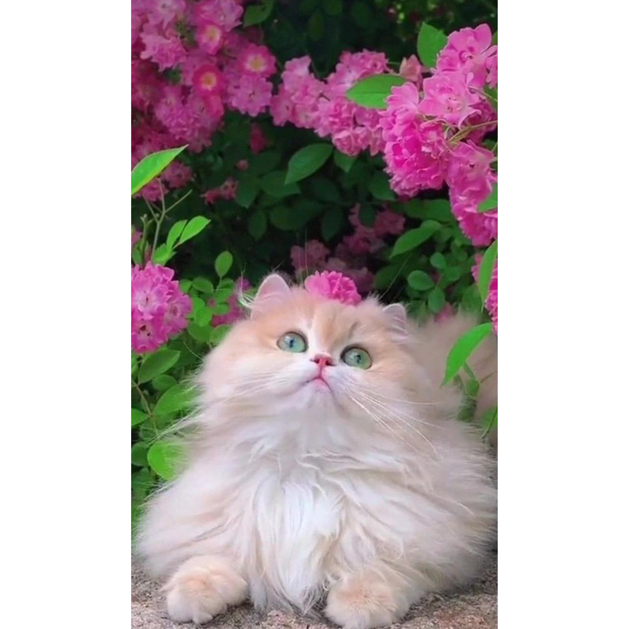 Набір для творчості алмазна картина Strateg Квітковий друг HEG87036 30x40 см (MTT-190120) Набір для творчості алмазна картина Strateg Квітковий друг HEG87036 30x40 см (MTT-190120)