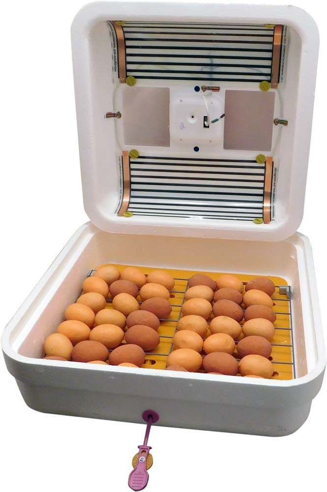 Инкубатор Рябушка ИБ-70 на 70 яиц с переходником на 12 В + цифровой терморегулятор