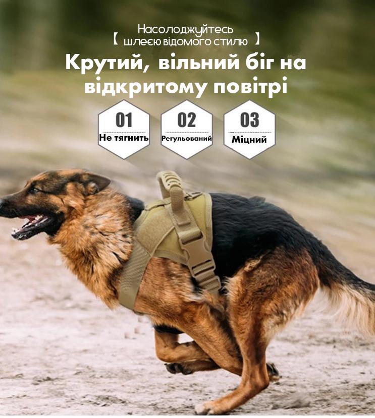 Шлея для собак Harness з ручкою S 50-65 см Чорний (1603476376) - фото 5 Шлея для собак Harness з ручкою S 50-65 см Чорний (1603476376) - фото 5