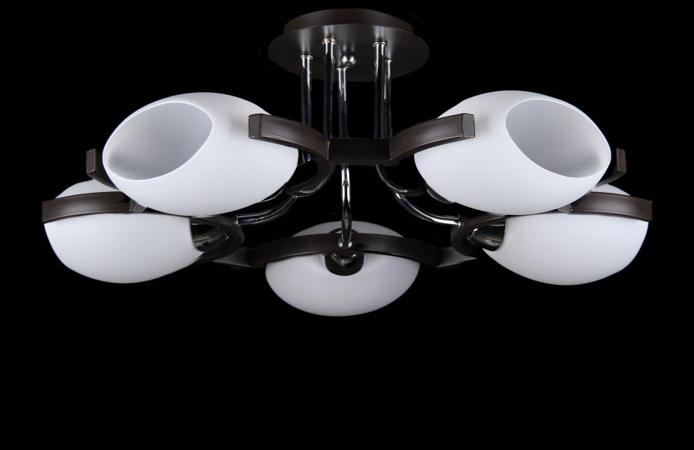 Люстра с плафонами Ray L830951/5 (IR006566)