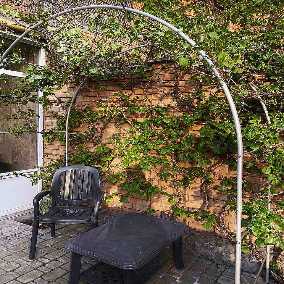 Опора для растений арка садовая 3000х2700х1000 мм d 28 мм/d 12 мм (АС-D28/D12-3000*2700*1000) - фото 6 Опора для растений арка садовая 3000х2700х1000 мм d 28 мм/d 12 мм (АС-D28/D12-3000*2700*1000) - фото 6