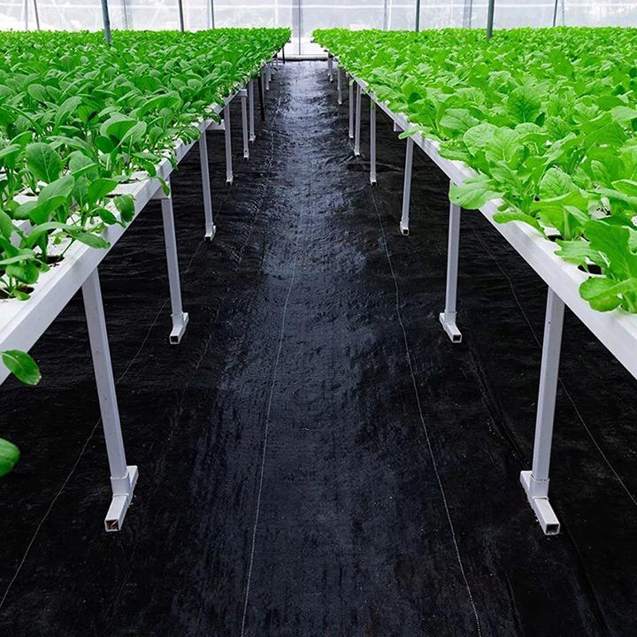 Агротканина JohnGreen захист від бур'янів 70 г/кв. м 0,8х100 м Чорний (SDH315) - фото 4 Агротканина JohnGreen захист від бур'янів 70 г/кв. м 0,8х100 м Чорний (SDH315) - фото 4