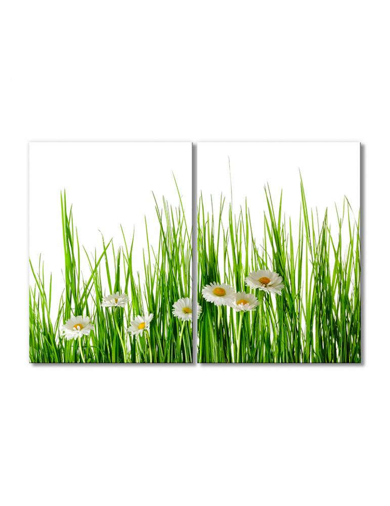 Картина модульная Ромашки минимализм 2 модуля 40х60 см