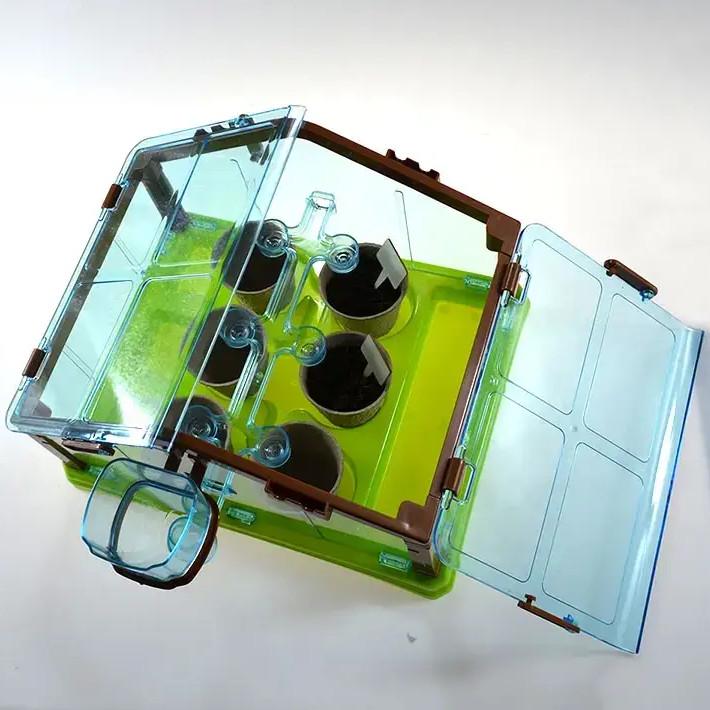 Набір для вирощування рослин Ботанічний теплиця/ґрунт/насіння/інструменти від 5 років (30731358) - фото 6 Набір для вирощування рослин Ботанічний теплиця/ґрунт/насіння/інструменти від 5 років (30731358) - фото 6