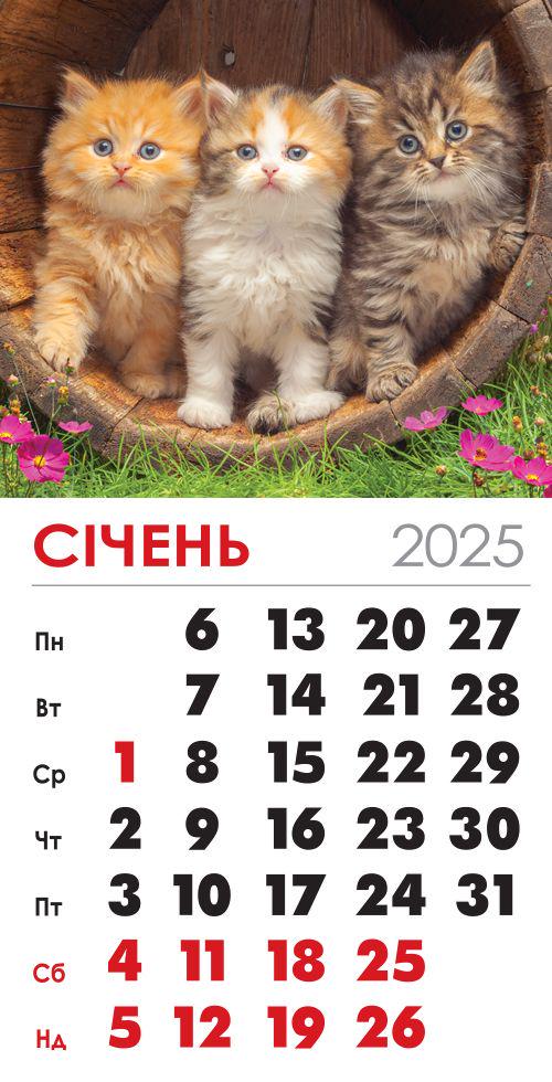 Календар на 2025 р. Магніт Три котика в діжці