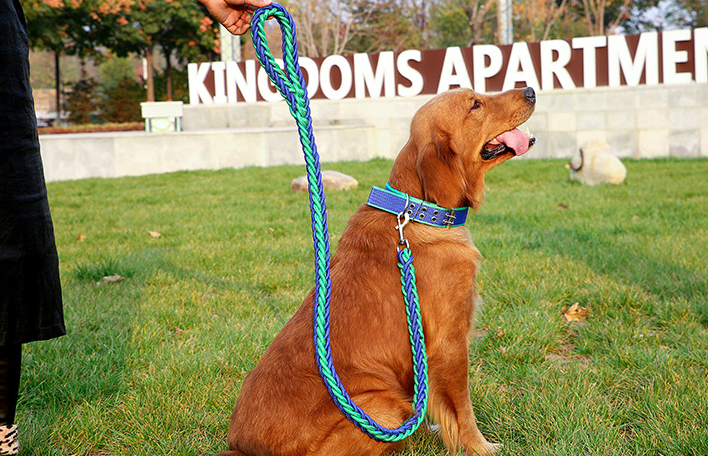 Повідець та нашийник для собак №2 41-53 см 130 см х 1,5 см Морська хвиля (2296454416) - фото 3 Повідець та нашийник для собак №2 41-53 см 130 см х 1,5 см Морська хвиля (2296454416) - фото 3