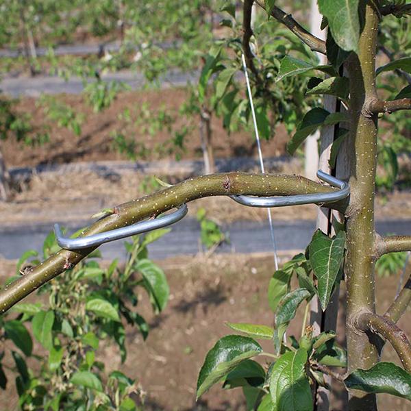 Опори для гілок дерев металеві M00573-1 9 шт. - фото 6 Опори для гілок дерев металеві M00573-1 9 шт. - фото 6