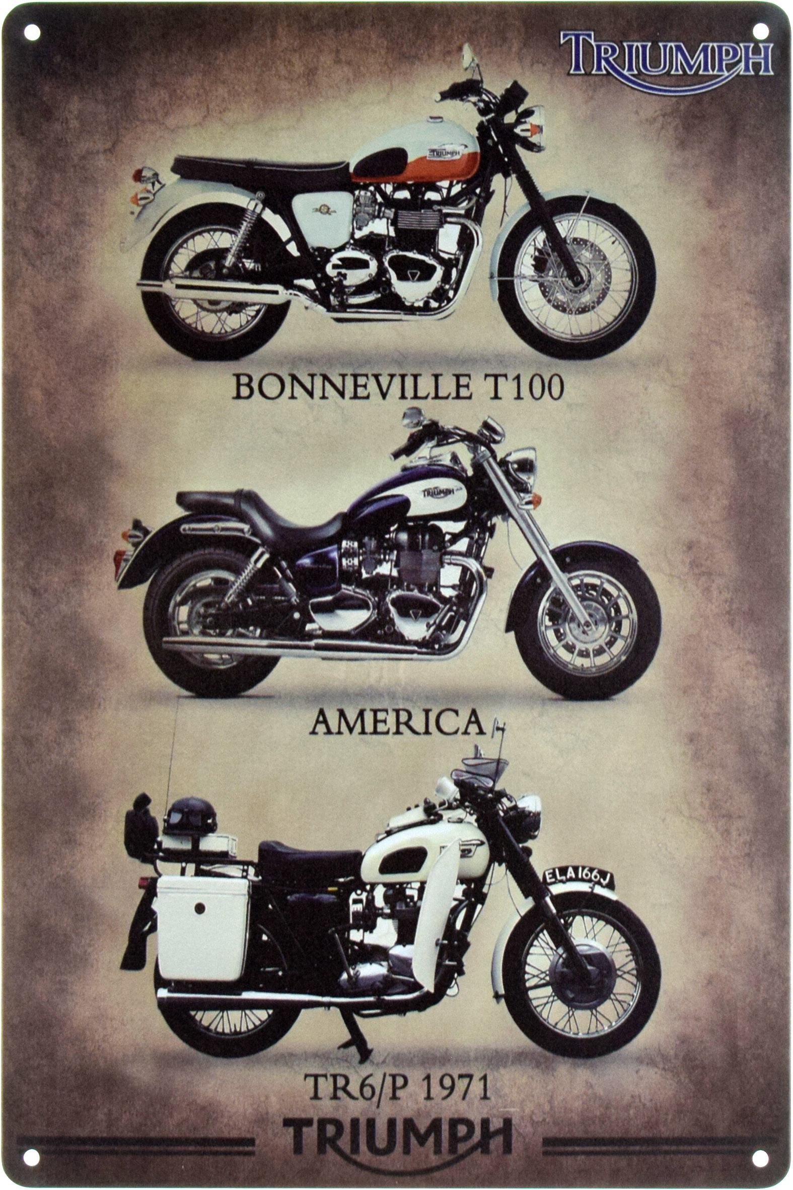 Табличка металлическая Triumph Motorcycles 20x30 см