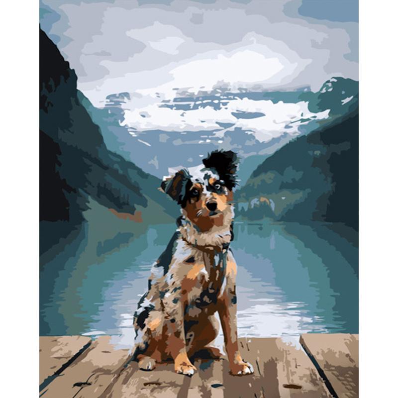 Картина по номерам Strateg Премиум Бордер-колли среди гор 40x50 см (GS603)