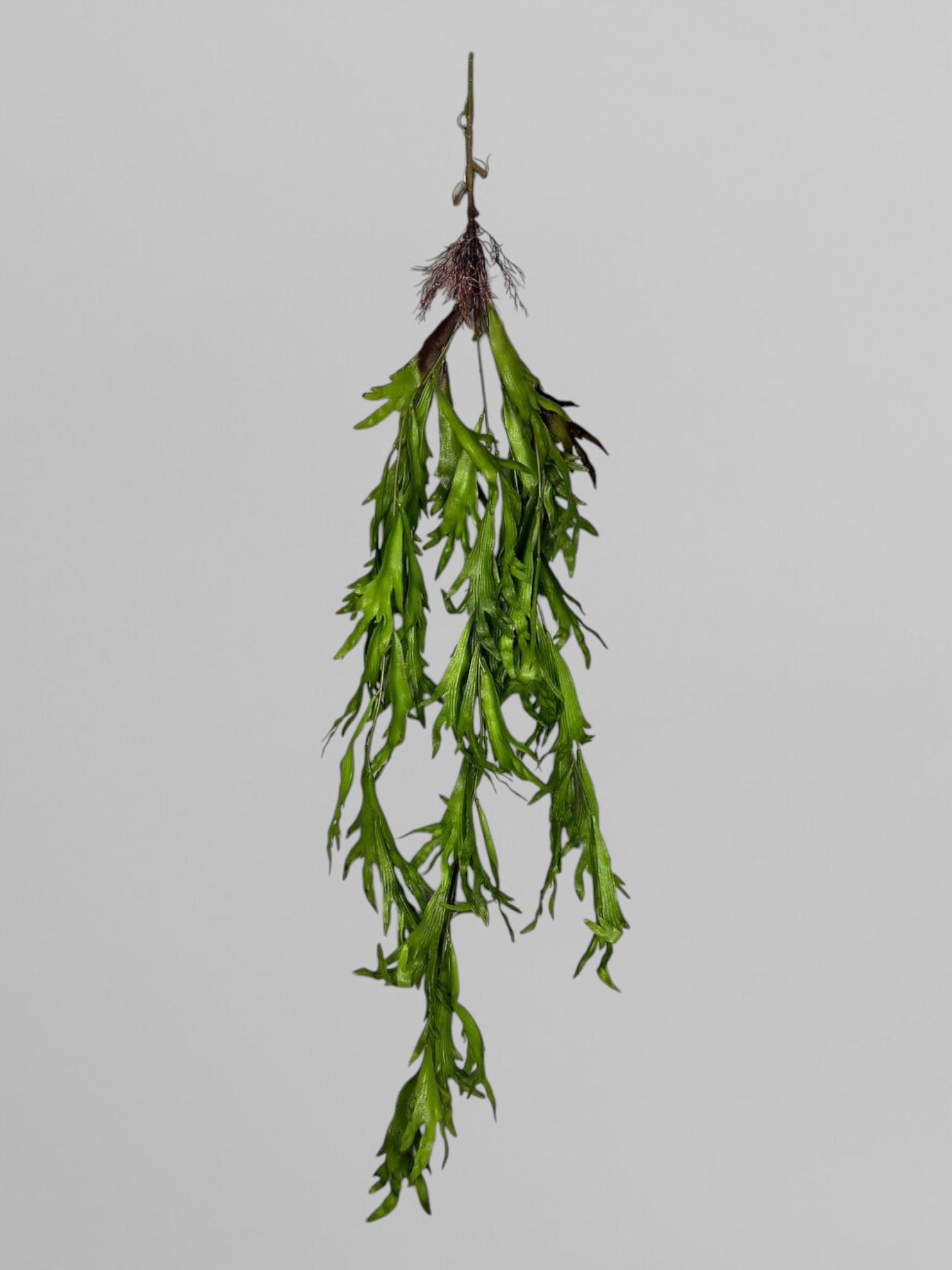 Искусственный папоротник платицериум 110 см Зеленый (Р01038) - фото 2 Искусственный папоротник платицериум 110 см Зеленый (Р01038) - фото 2