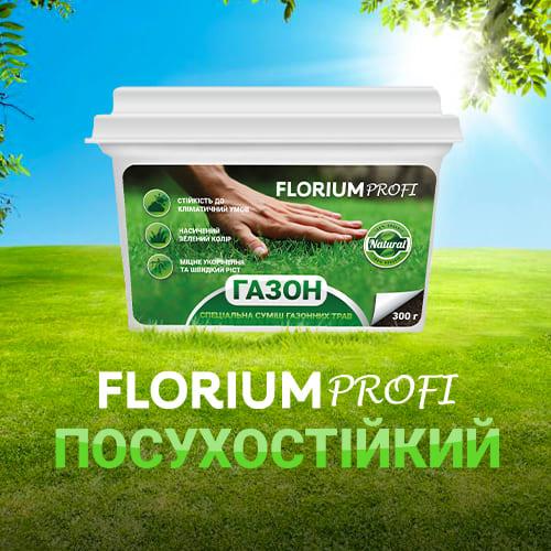 Насіння для газону Florium Profi Посухостійкий 300 г (18616) - фото 3 Насіння для газону Florium Profi Посухостійкий 300 г (18616) - фото 3